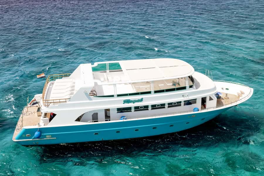 Hurghada: All-Inclusive Elite VIP Dolphin House & Massage - Booking details worth knowing before you go