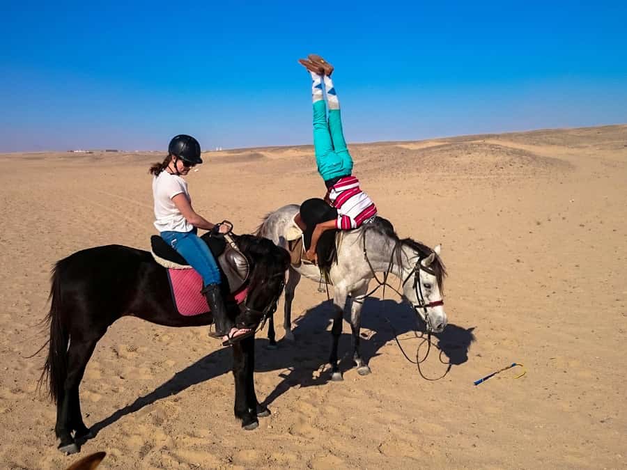 Hurghada: Arabian Desert and Sea Horseback Adventure - Reaching the Red Sea shore