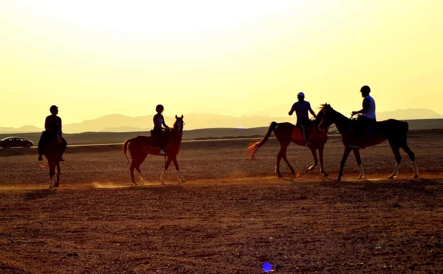 Hurghada: Arabian Desert and Sea Horseback Adventure - Family suitability and physical limits