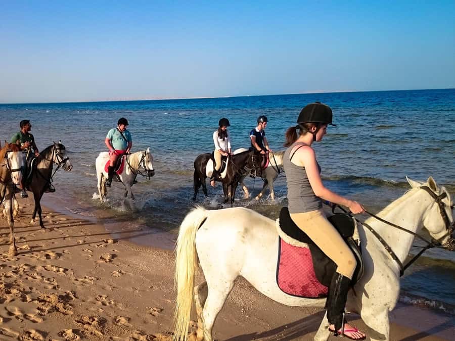Hurghada: Arabian Desert and Sea Horseback Adventure - How the guides shape the day