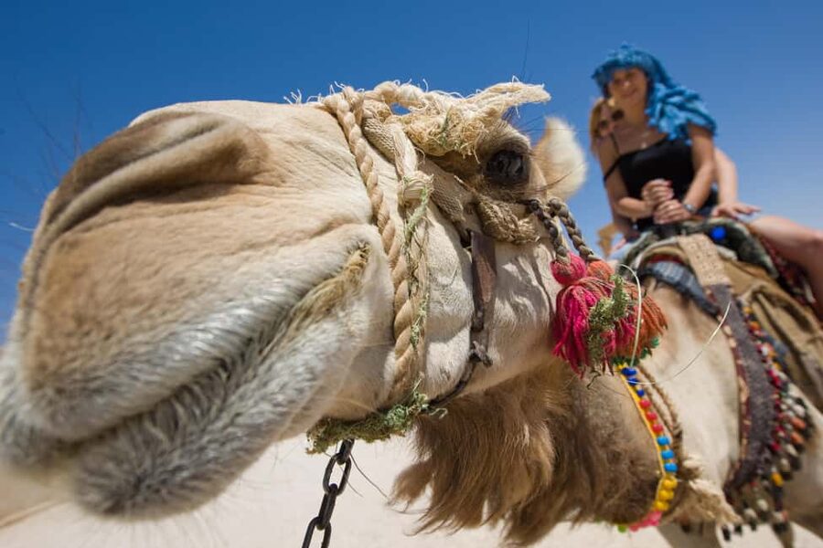 Hurghada: ATV Quad, Jeep and Buggy Safari with BBQ Dinner - What the $27 price really includes