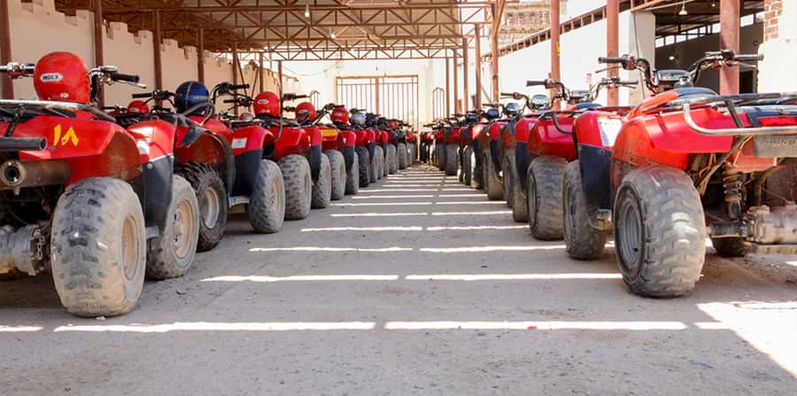 Hurghada: ATV Tour with Camel Ride, Dinner Show & Stargazing - The five-minute camel ride