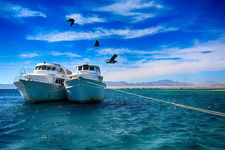 Hurghada: Beginners Scuba Diving Full-Day Boat Trip & Lunch - Snorkeling for a lighter look at the reef