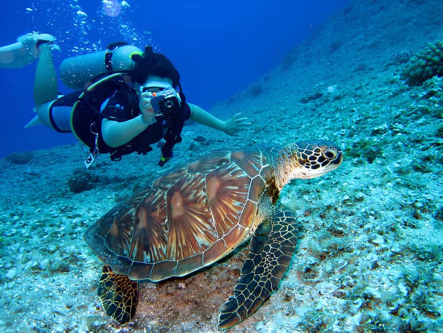 Hurghada: Beginners Scuba Diving Full-Day Boat Trip & Lunch - Why the instructor support matters