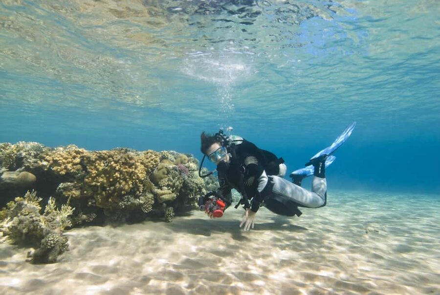 Hurghada: Beginners Scuba Diving Full-Day Boat Trip & Lunch - What the $30 price really includes