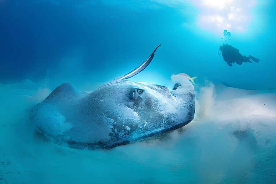 Hurghada: Beginners Scuba Diving Full-Day Boat Trip & Lunch - What to pack for a comfortable day