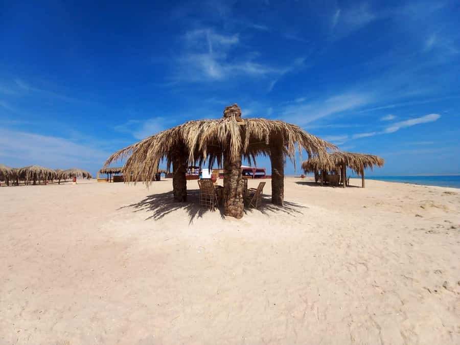 Hurghada: Boat trip to Magawish island with Multi Options - The morning pickup from Hurghada