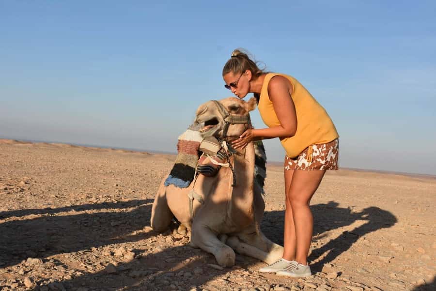 Hurghada: Camel Ride & horse ride and Off-Road Jeep Tour - Key details at a glance