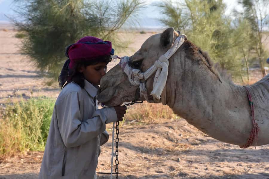 Hurghada: Camel Ride & horse ride and Off-Road Jeep Tour - From your hotel to the Hurghada desert