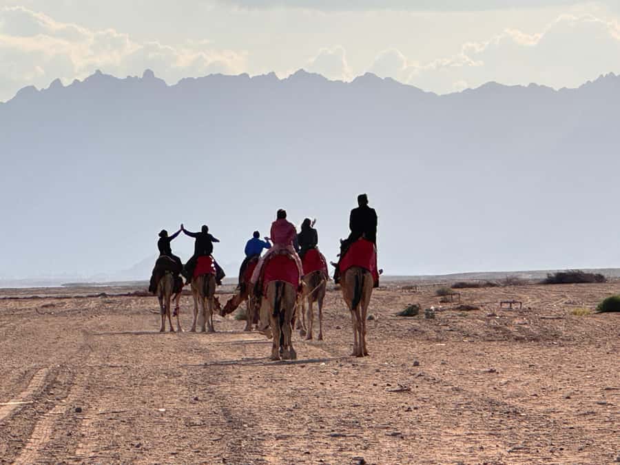 Hurghada: Camel Ride & horse ride and Off-Road Jeep Tour - Comfort, safety, and what to pack
