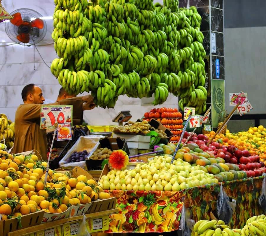 Hurghada: City Guided Tour with Local Market Stop - Al Mina Mosque and Santa Maria Church