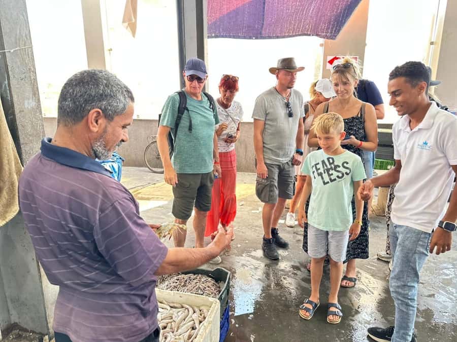Hurghada: City Guided Tour with Local Market Stop - From resort hotels to Hurghada Marina
