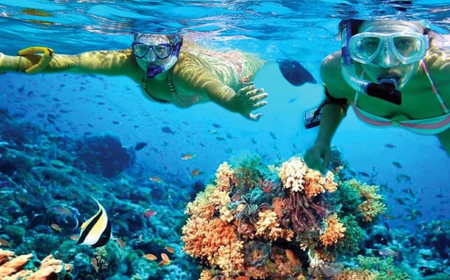 Hurghada: Day Snorkeling with Dolphins - The boat lunch and time between swims