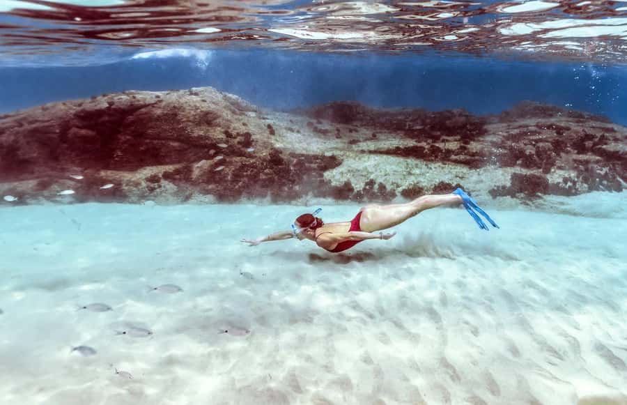 Hurghada: Day Snorkeling with Dolphins - Who should book this Dolphin Reef day