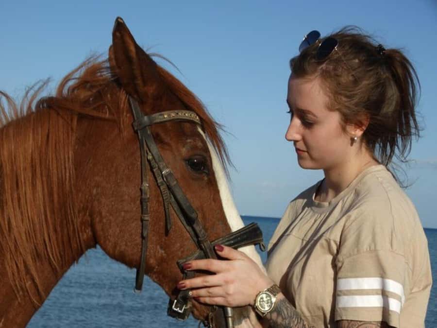 Hurghada: Desert and Sea Horseback Riding Tour with Transfer - Key points to know before booking