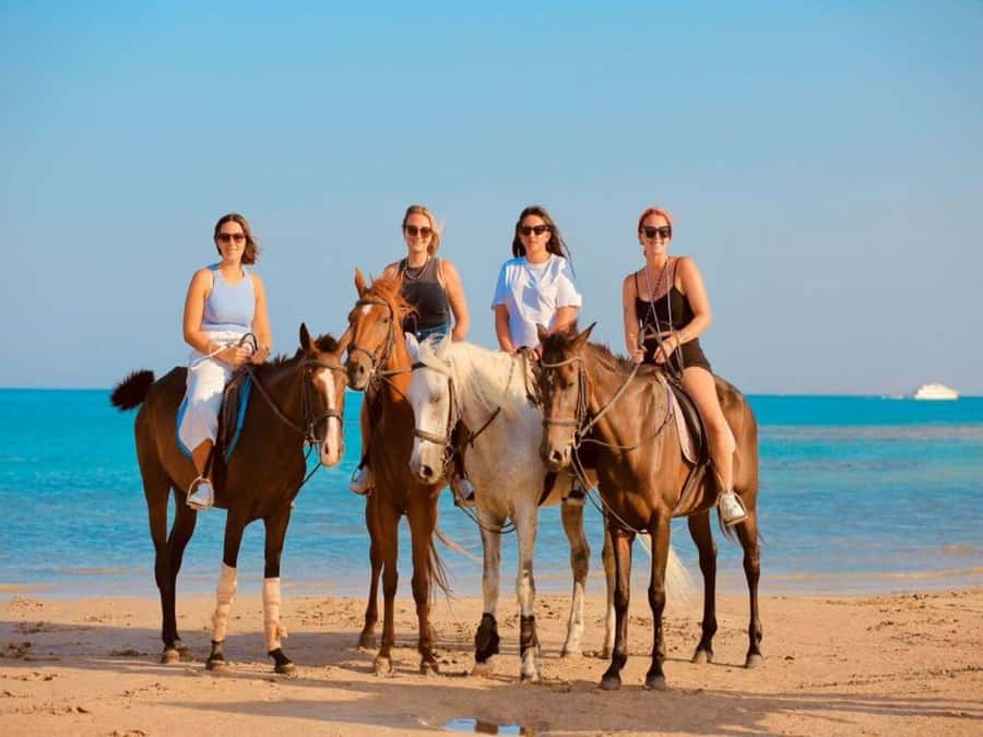 Hurghada: Desert and Sea Horseback Riding Tour with Transfer - Booking details and practical planning