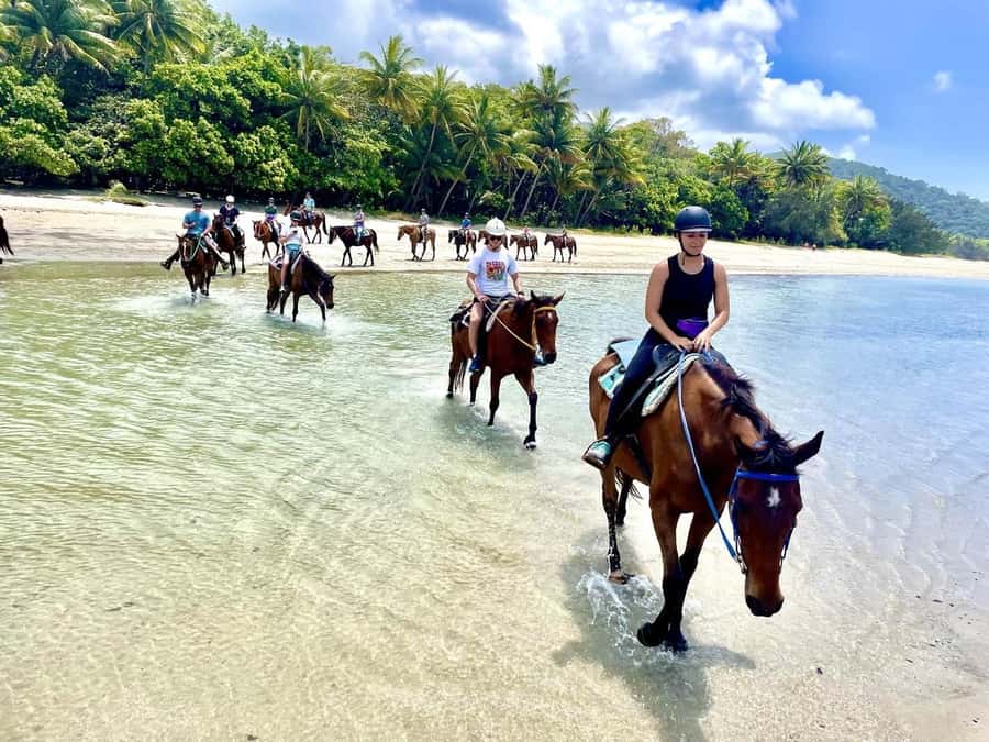 Hurghada: Desert and Sea Horseback Riding Tour with Transfer - Leaving your Hurghada hotel for the stable