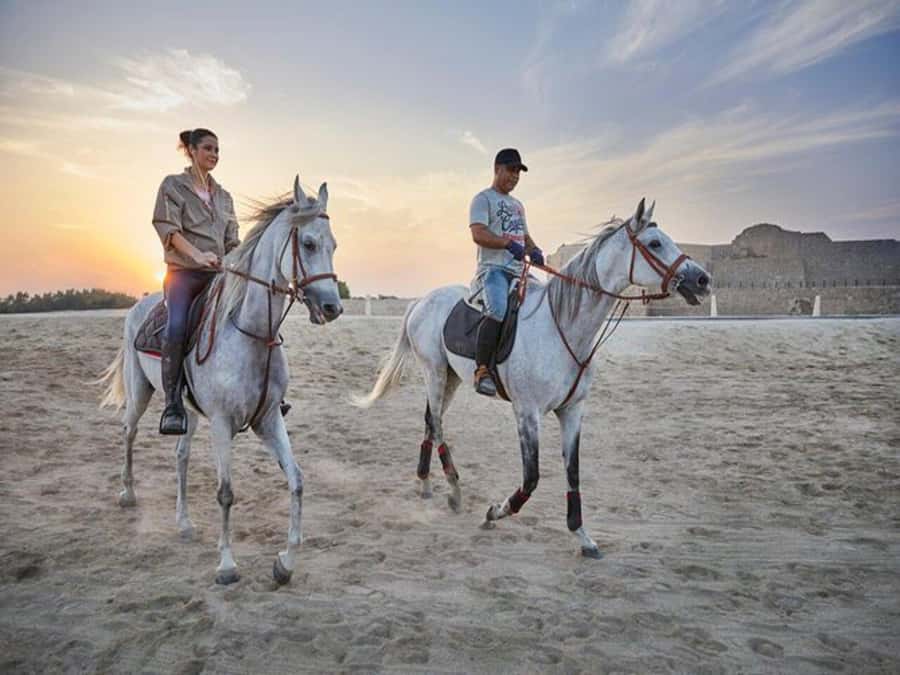 Hurghada: Desert and Sea Horseback Riding Tour with Transfer - Crossing the Hurghada desert on horseback