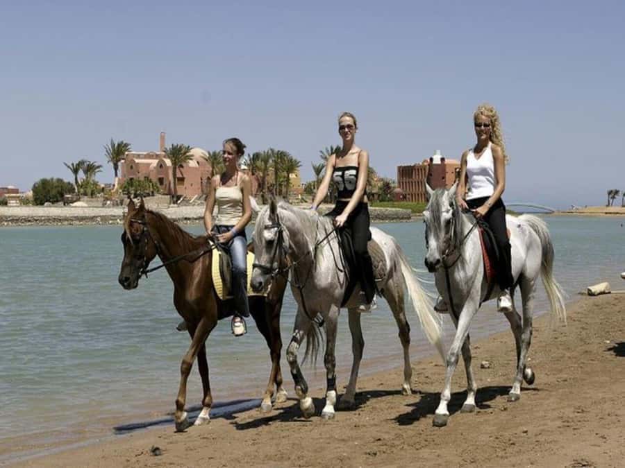 Hurghada: Desert and Sea Horseback Riding Tour with Transfer - Is $50 good value for two hours?