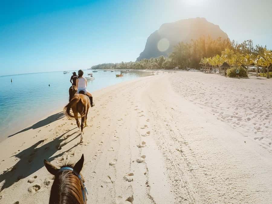 Hurghada: Desert and Sea Horseback Riding Tour with Transfer - Meeting the horses and getting ready
