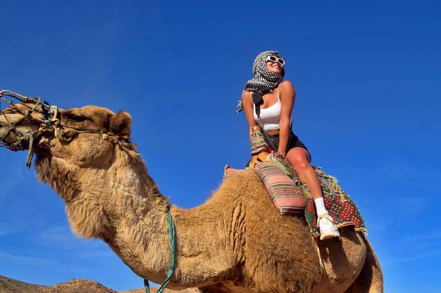 Hurghada: Desert Quad, Bedouin Village, and Camel Ride Tour - A Bedouin village with a very short camel ride