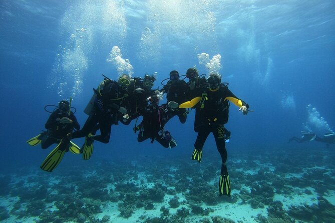 Hurghada Diving Adventure one Day with two Dives Boat Trip - Equipment costs need careful checking