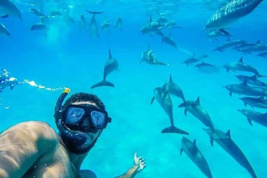 Hurghada: Dolphin & Coral Reef Snorkeling Tour with Lunch - Two Coral Reef Snorkeling Stops