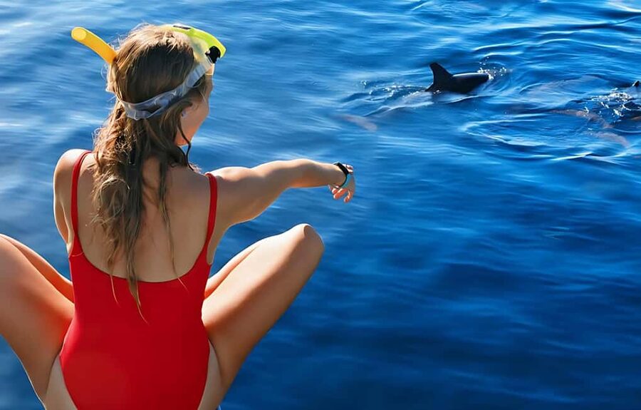 Hurghada: Dolphin Cruise with Snorkeling & Buffet Lunch - A Red Sea day built around dolphins and reefs