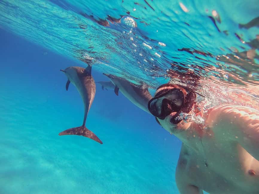 Hurghada: Dolphin Watching Boat Tour with Snorkeling & Lunch - Leaving Public Beach Number 9 in Hurghada
