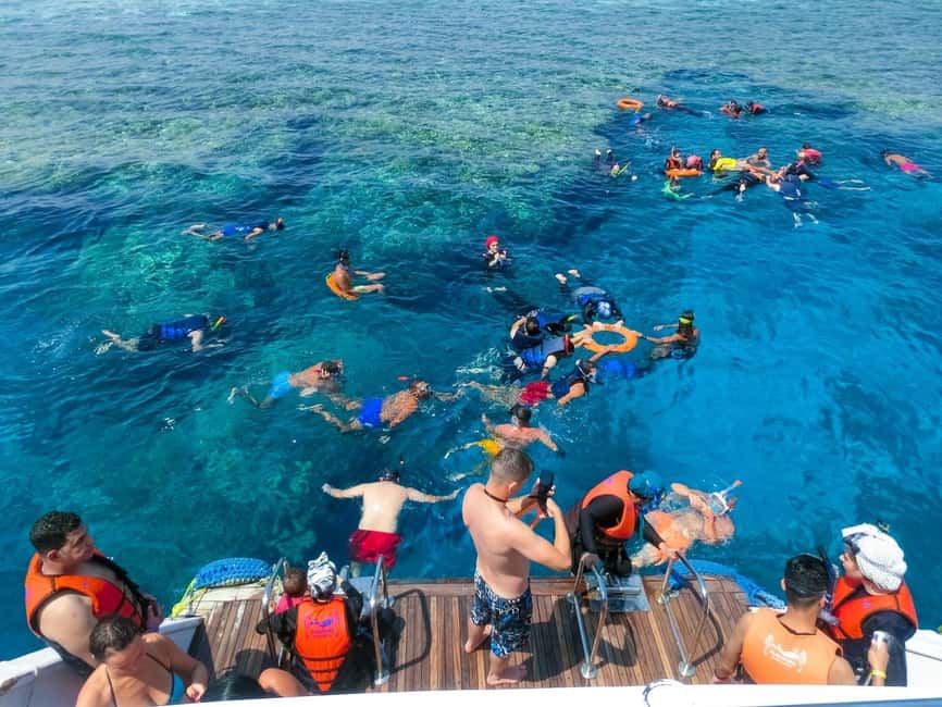 Hurghada: Dolphin Watching Boat Tour with Snorkeling & Lunch - How the crew handles families and nervous swimmers