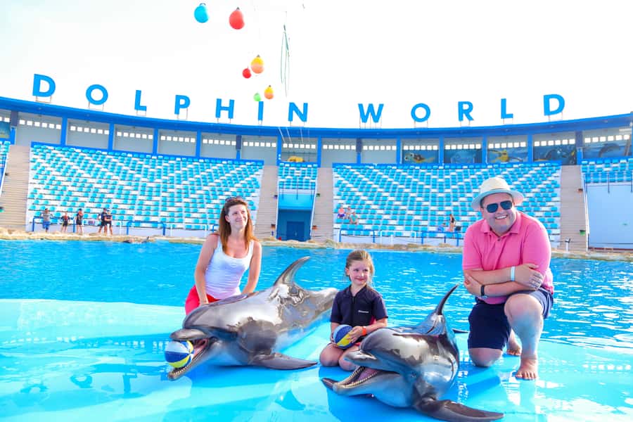 Hurghada: Dolphin World Show with Walruses and Pickup - Key points at a glance