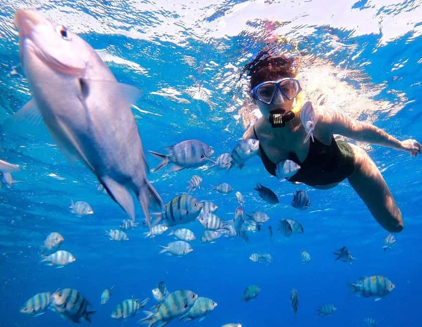 Hurghada:Eden Island Full-Day Trip with Water sports & Lunch - Snorkeling over Red Sea coral