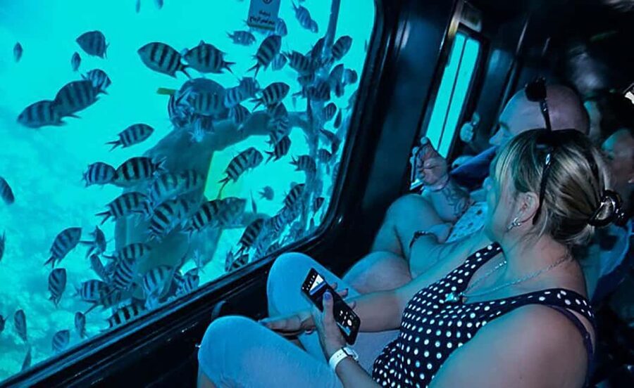 Hurghada: Empire Submarine Boat Trip with Snorkel and Drinks - Who will enjoy the Empire Submarine most?