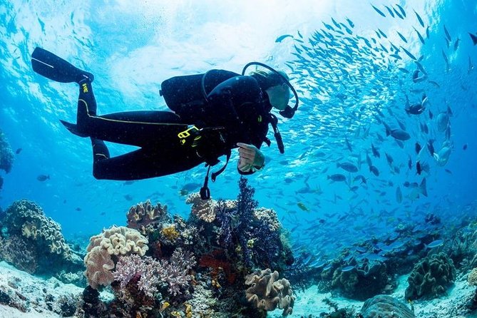 Hurghada: Full-Day Diving Tour with Lunch & Two Dive Sites - Life aboard the White Dolfin