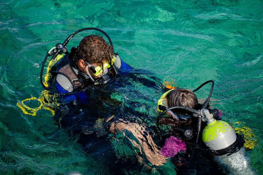 Hurghada: Full-Day Scuba Diving Tour with 2 Sites and Lunch - The $70 price and what it really covers