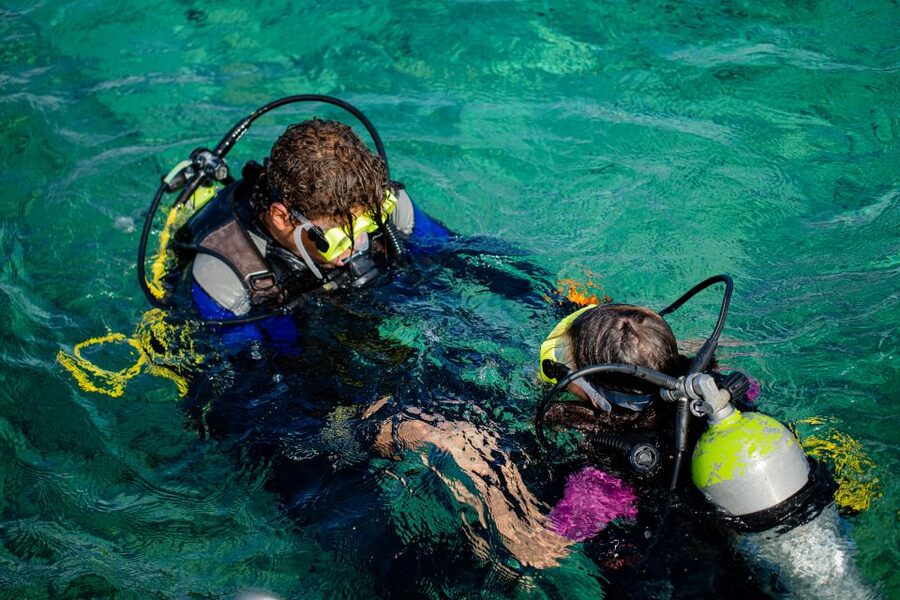 Hurghada: Full-Day Scuba Diving Tour with 2 Sites and Lunch - Transfers, timing, and what to pack