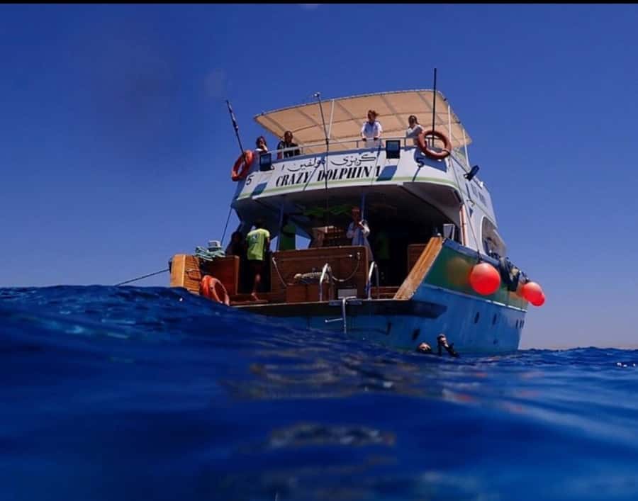 Hurghada: Full-Day Scuba Diving Tour with 2 Sites and Lunch - Who should book this Hurghada outing
