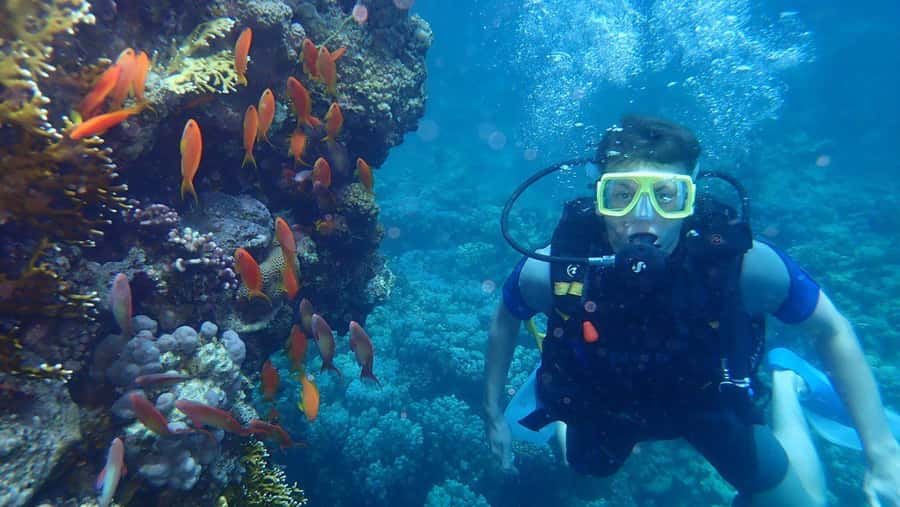 Hurghada: Full-Day Scuba Diving Tour with 2 Sites and Lunch - Should you book it?