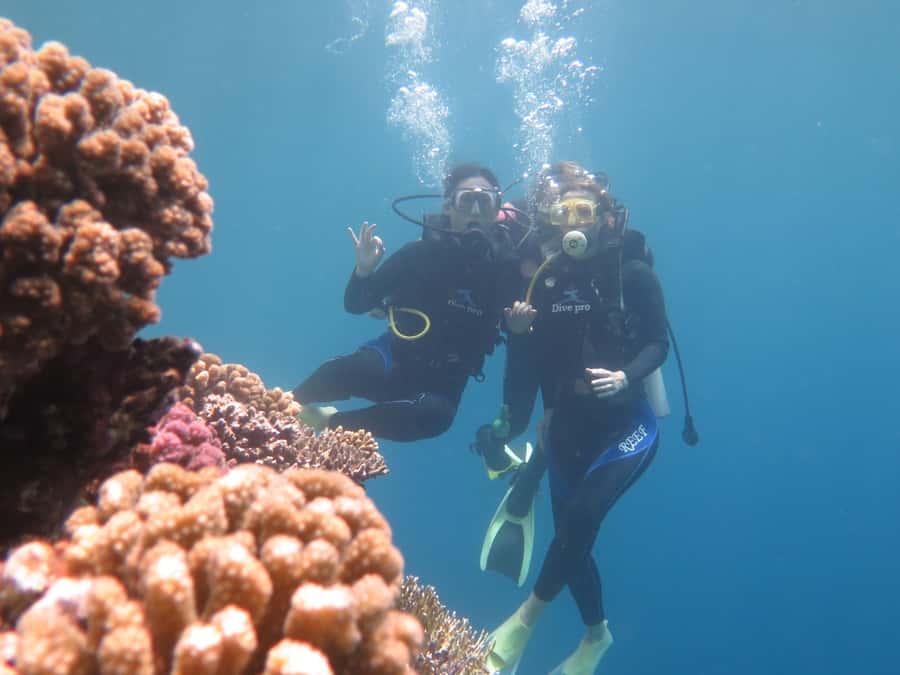 Hurghada: Full-Day Scuba Diving Tour with 2 Sites and Lunch - What you may see below 10 meters