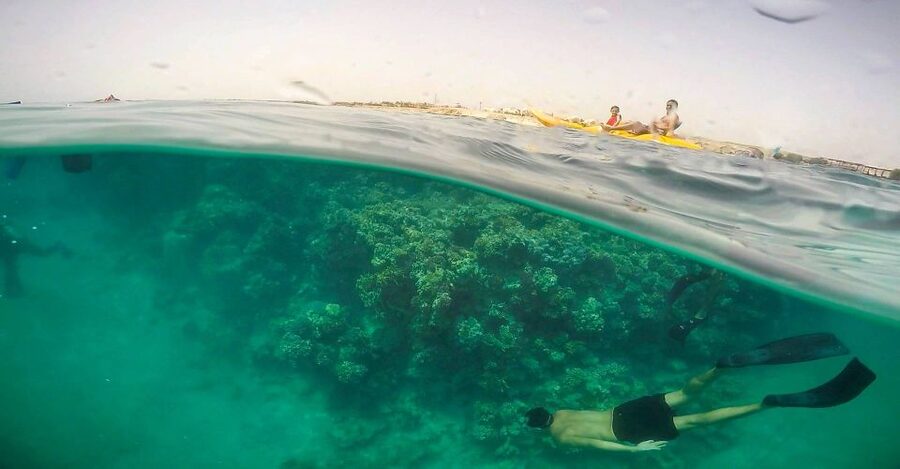Hurghada: Full-Day Snorkeling Tour in Sharm El Naga w/Lunch - Key details before you book