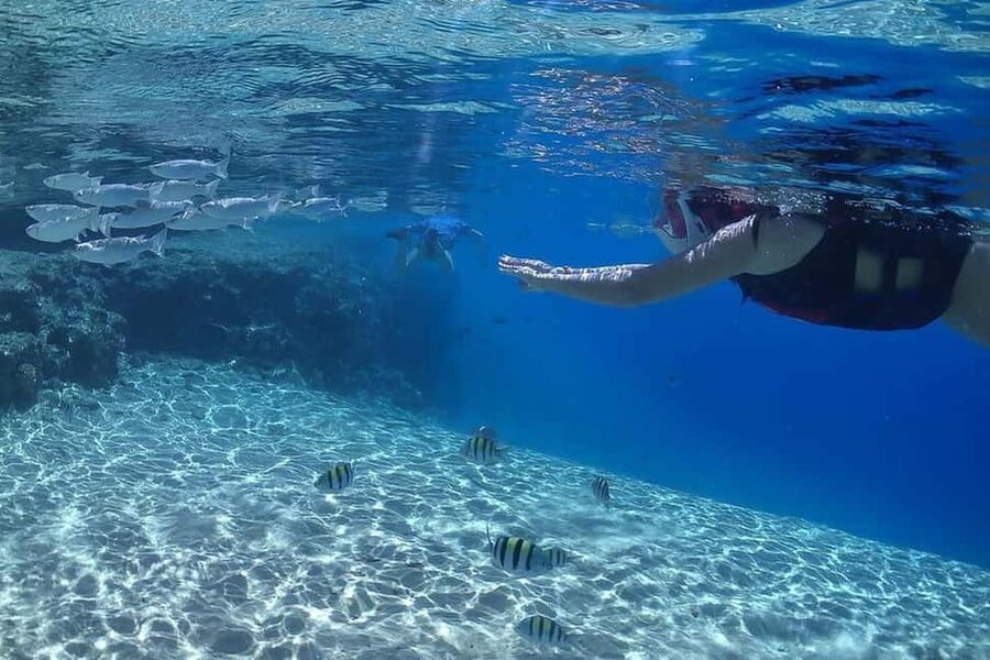 Hurghada: Full-Day Snorkeling Tour in Sharm El Naga w/Lunch - Snorkeling over coral and fish