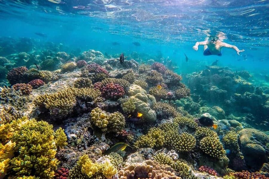 Hurghada: Full-Day Snorkeling Tour in Sharm El Naga w/Lunch - Beach time between swims