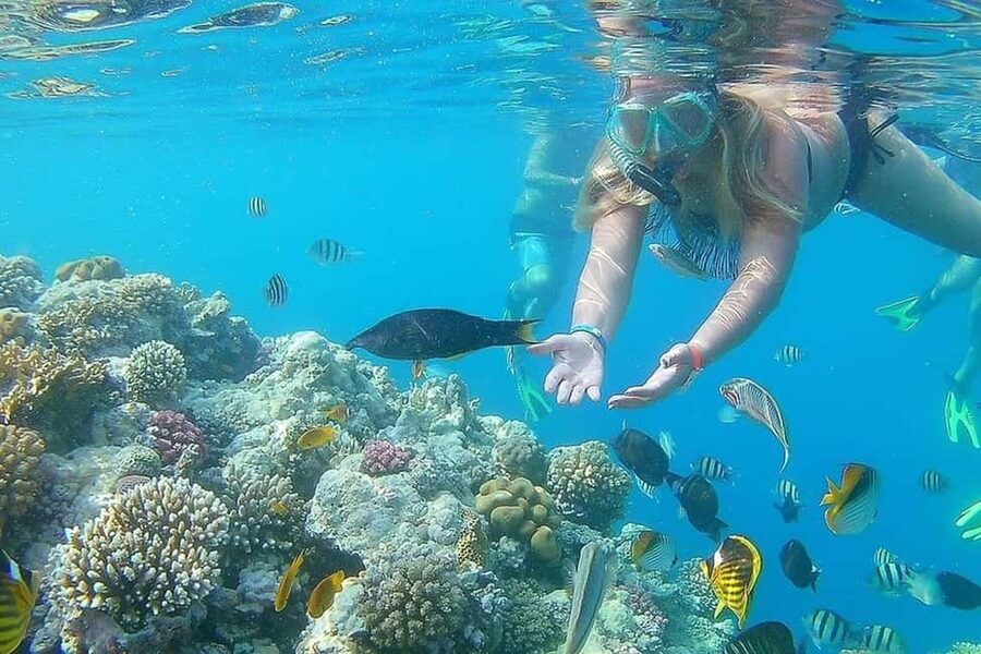 Hurghada: Full-Day Snorkeling Tour in Sharm El Naga w/Lunch - What $75 gets you