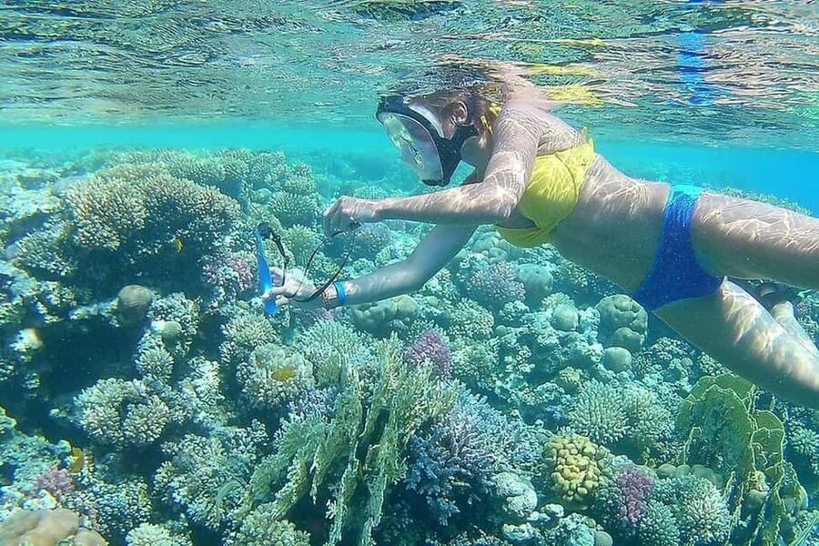 Hurghada: Full-Day Snorkeling Tour in Sharm El Naga w/Lunch - Who should book this day