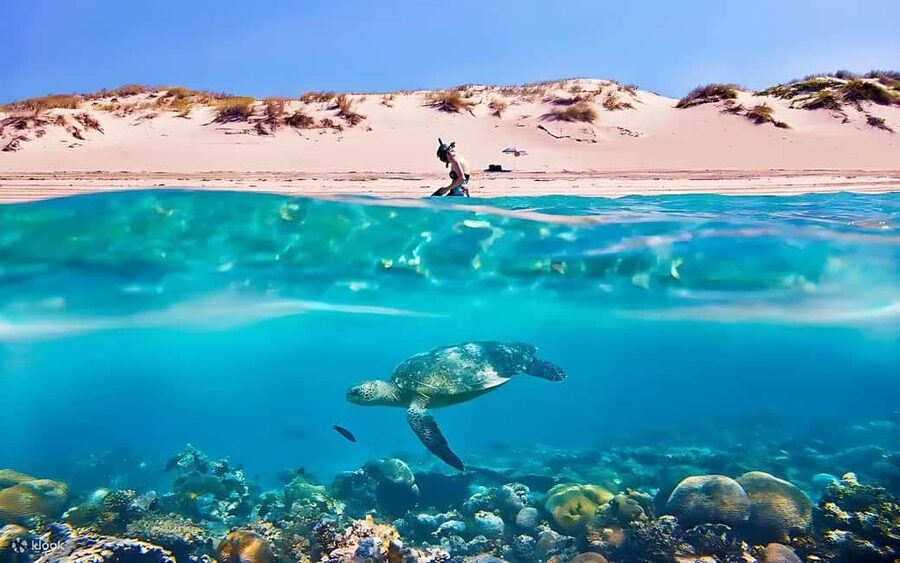 Hurghada: Giftun Island with breakfast, lunch & Water Sports - Key points at a glance