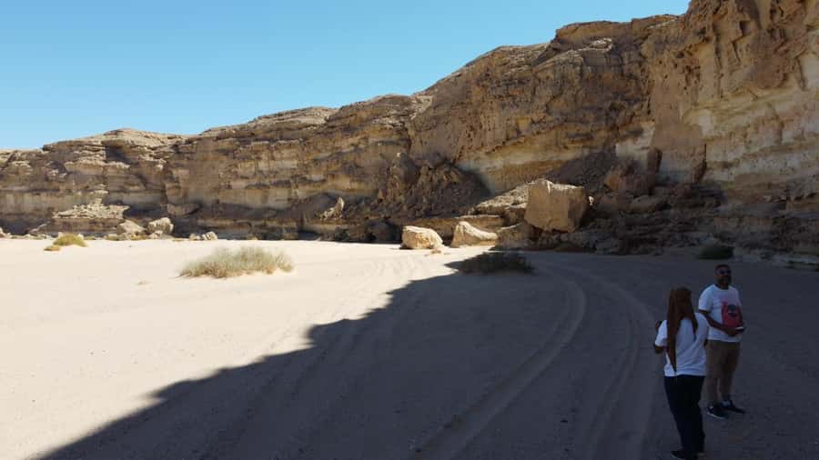Hurghada: Hiking , dinner & stargazing - Reaching the oasis and meeting the farm animals