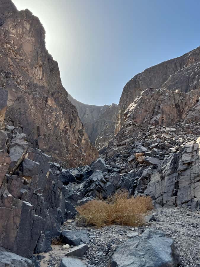 Hurghada: Hiking , dinner & stargazing - A short camel ride with a desert setting