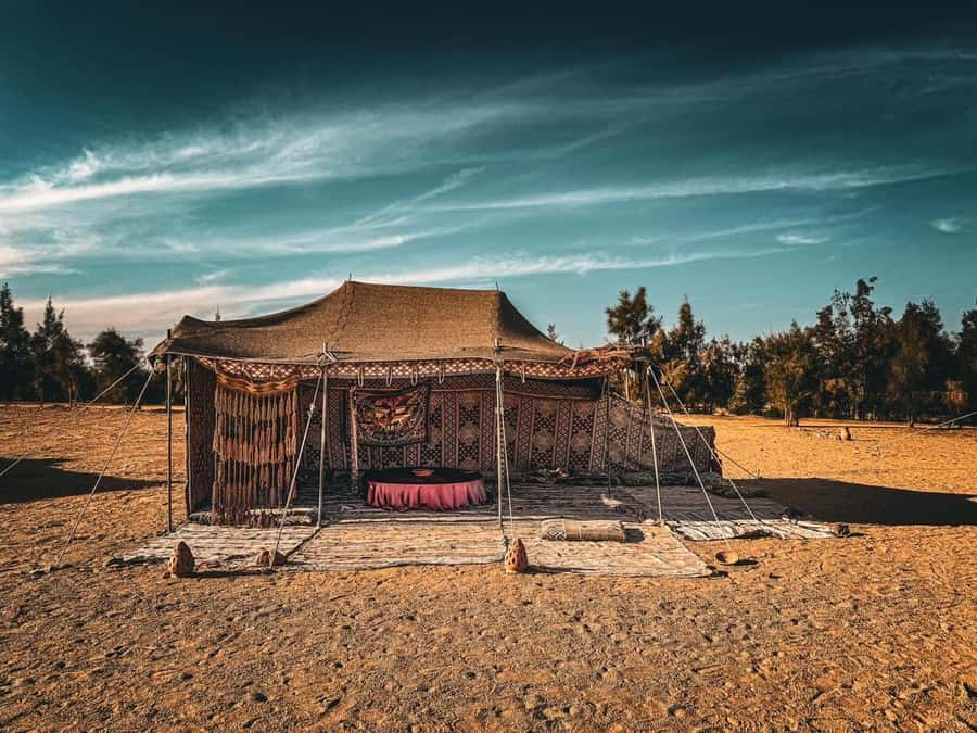 Hurghada: Hiking , dinner & stargazing - Telescope stargazing after dark