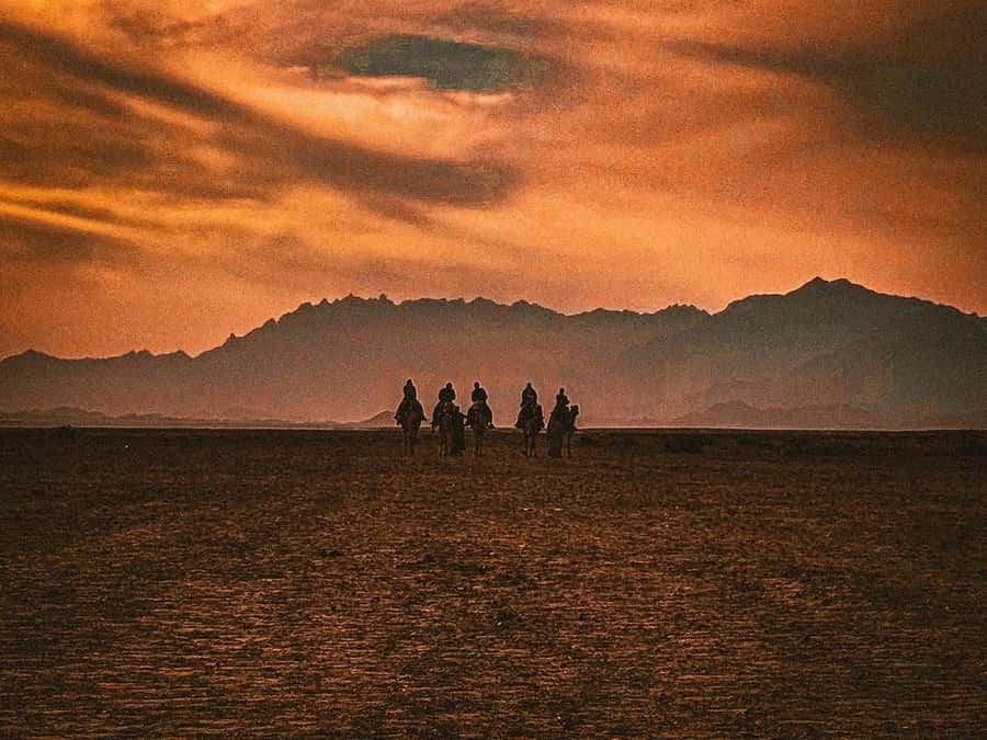 Hurghada: Hiking , dinner & stargazing - Who will enjoy this outing most