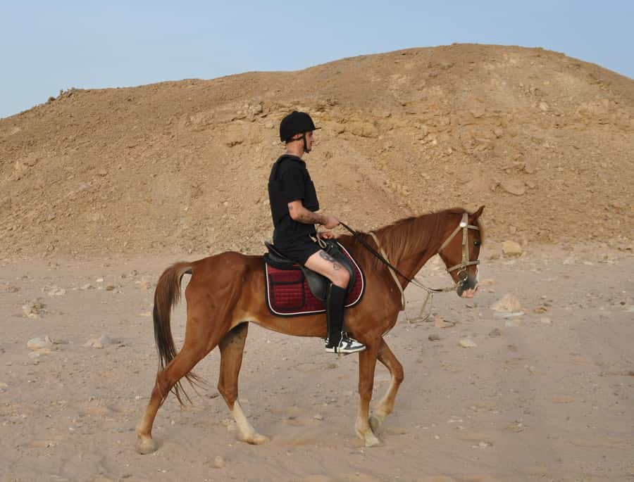 Hurghada: Horse Ride, BBQ Dinner, and Stargazing - Dinner at the desert oasis